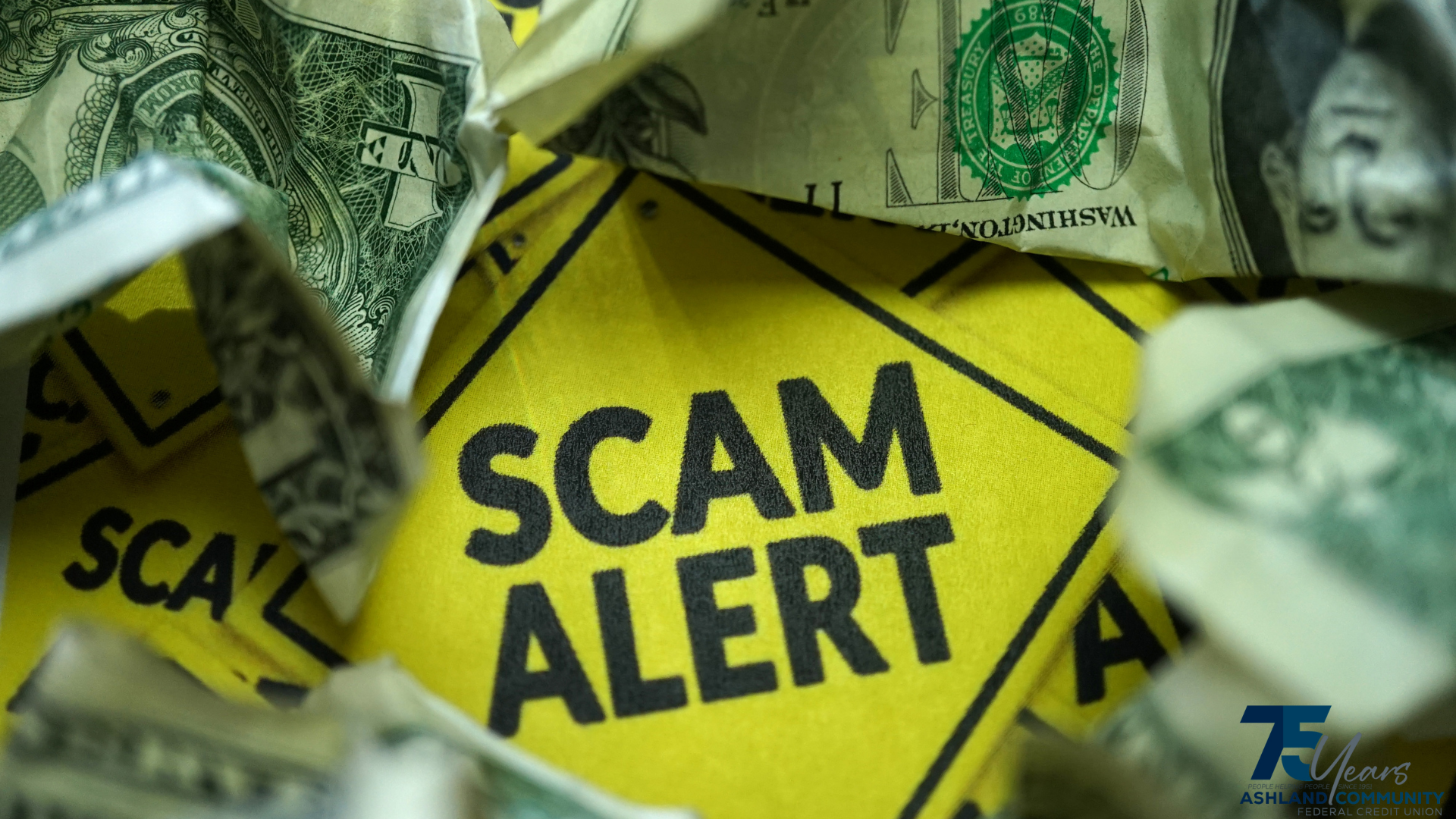 Understanding Scams, What to Look For and How The Work